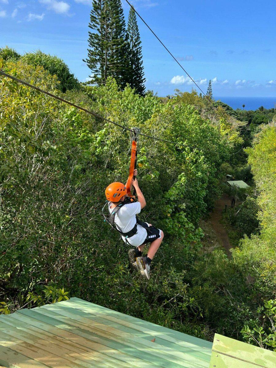 Soar Through Treetops on a Zipline