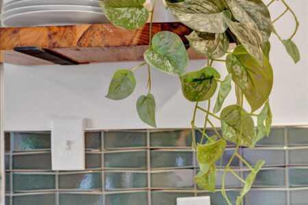 original 865913395497198494 1624407527