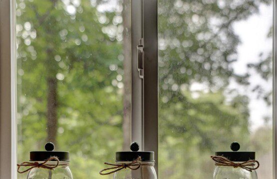 original 899486243309866906 1660257682