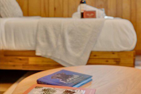 original 899486243309866906 1660257698