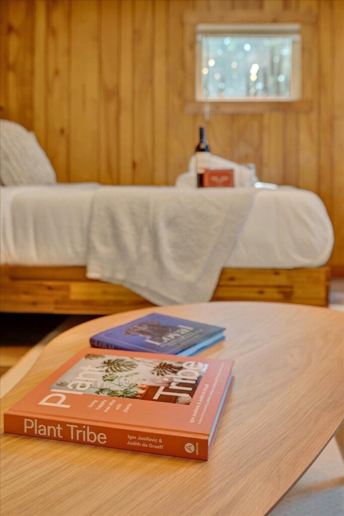 original 899486243309866906 1660257698